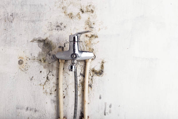 Best Emergency Mold Removal  in Sea Isle City, NJ
