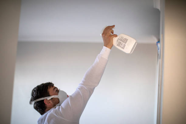 Crawl Space Mold Removal in Sea Isle City, NJ