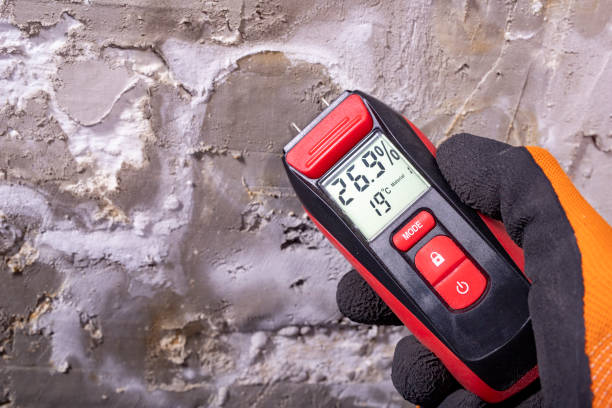 Best Residential Mold Removal  in Sea Isle City, NJ