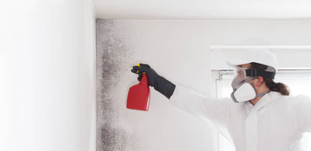 Best Mold Testing  in Sea Isle City, NJ